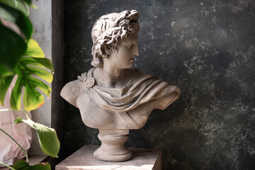 Fototapeta premium Gypsum statue of a bust of God Apollo on a gray textured background by the window light