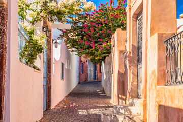 Fototapeta na wymiar Famous Oia village narrow street with white houses and bougainvillea flowers. Santorini island, Greece