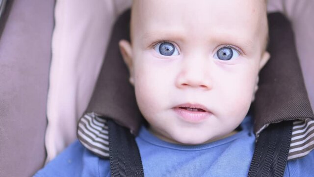 portrait of beautiful big blue eyed caucasian baby infant fastened with black seatbelts in brown kid carriage. Little child swinging and swaying in stroller looks straight into camera close-up