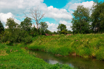 Fototapeta na wymiar A river and a grass in front of trees against the sky by summer day