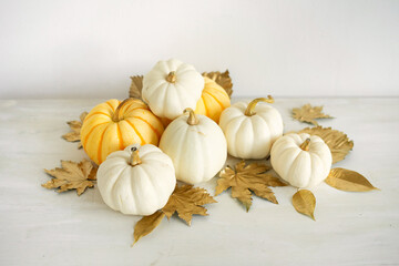Sweet mini pumpkins and golden autumn leaves on a white wooden background with copy space. Thanksgiving day decor.