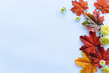 Autumn maple leaves and yellow flowers on a white background with a copy space.