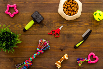 Dog food and toys with grooming tools, top view