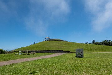 Obraz premium 茨城 鉾田 鹿島灘海浜公園 展望築山 松林や海岸線を一望できます