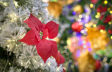 Red flower decoration on christmas tree with colorful light bokeh at the background. Festive or...