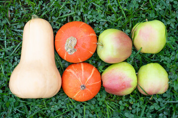 Fall harvest on the grass in the garden. Butternut squash, orange pumpkin, apples. Autumn vitamins. Top view