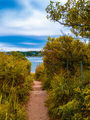 Obraz premium Footpath through the autumn forest at Cape Cod seashore