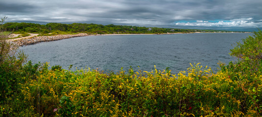 Stormy seascape over the yellow wildflowers over the beach on Cape Cod