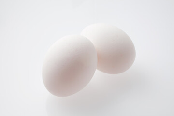 たまご　　　白バック