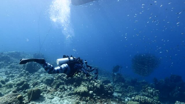 Professional diver / underwater cinematographer filming in coral reef of Caribbean Sea around Curacao