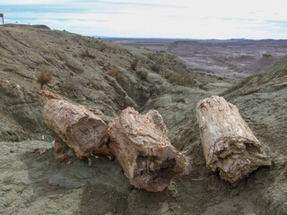 pieces of petrified wood at the petrified forest of Sarmiento, Argentina