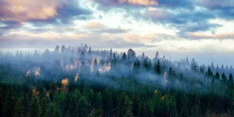 Deurstickers Mistig bos mist over bergketen