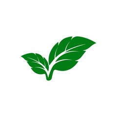 Green leaf logo