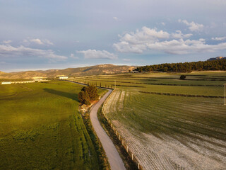 aerial landscape of wheat fields