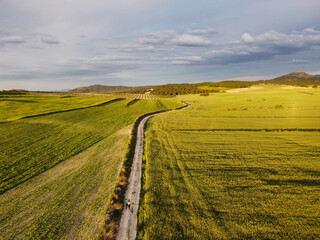 Fototapeta na wymiar aerial landscape of wheat fields