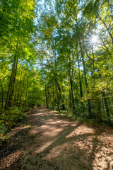 Evergreen Nature Preserve in Charlotte, North Carolina
