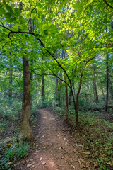 Evergreen Nature Preserve in Charlotte, North Carolina
