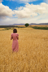 Naklejka na ściany i meble woman posing in wheat field.