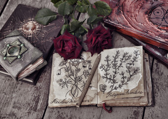 Still life with botanical drawings on shappy pages, decorated book and roses on planks.