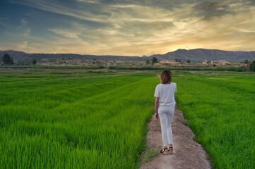 woman cleaning by landscape of rice fields.