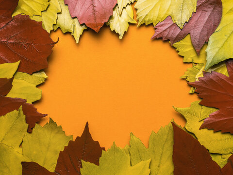 Background of red and yellow autumn leaves on an orange background. Space for the text. Flat lay.