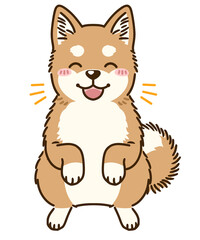 喜ぶ柴犬