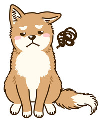 目を逸らす柴犬