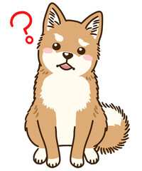 疑問に思う柴犬