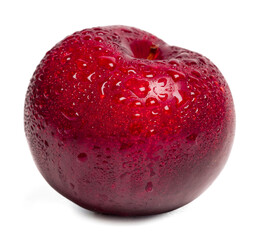 Fresh red plums fruit with water drop on white background.