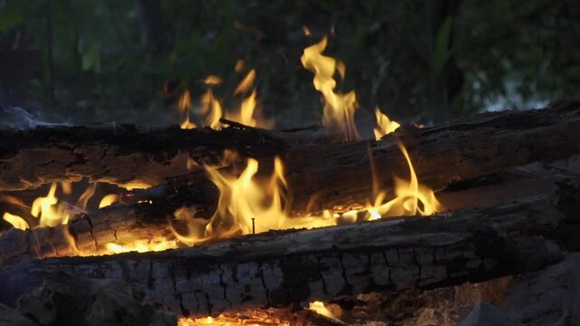 Burning Fire In close-up. Wood And Embers In The Fireplace Detailed fire background