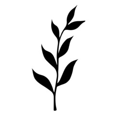 Branch with leaves vector icon. Hand-drawn illustration isolated on white background. Black silhouette of twigs with foliage. Botanical sketch of a field plant. Monochrome natural element.