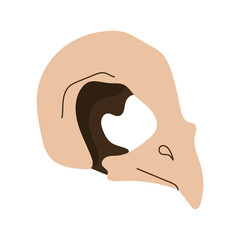 Bird Skull.Witchcraft magic design elements.