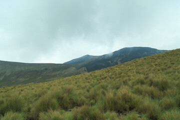 Fototapeta na wymiar forest, mountain range of volcano nevado de Toluca