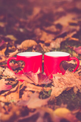 two heart shaped mugs with tea on a yellow autumn leaves