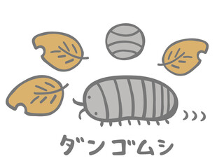 かわいいダンゴムシ／手書きイラスト