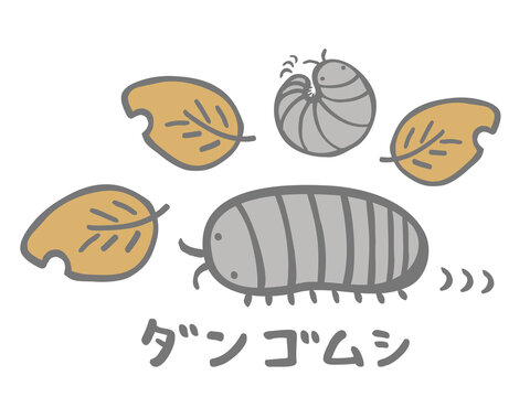 オカダンゴムシ の画像 473 件の Stock 写真 ベクターおよびビデオ Adobe Stock