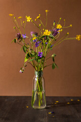 Bouquet of wild flowers on brown background, healing plant collection, still life composition