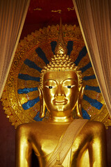 Fototapeta premium Golden Buddha statues, inside the temple. Chiang Mai, Thailand