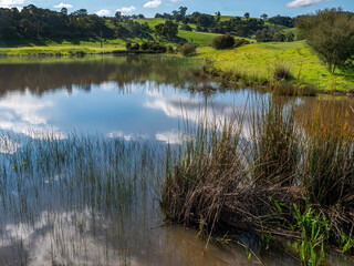 Yarra Lagoon 