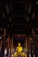 Golden Buddha statues, inside the temple. Chiang Mai, Thailand