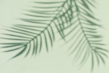 Two curved shadows of a palm tree on a green background. Minimal modern concept.