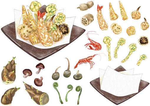 山菜、海老の天ぷらと盛付けセット　主線なし