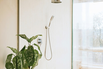 stylish and modern design bathroom interior with glass walls and door of shower cabin and home plants in pot in Balinese style with white concrete walls © klavdiyav