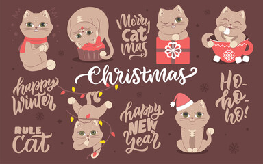 The collection image of winter animals with lettering phrases. The set of cats for Merry Christmas designs etc. The kitty in the hat, with cupcake, garland. The vector illustration