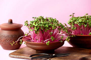 Bowls with fresh micro green and scissors on color background, closeup