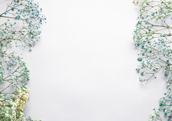 Beautiful colorful gypsophila flowers on white background, closeup