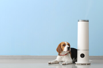 Cute dog and modern humidifier near color wall
