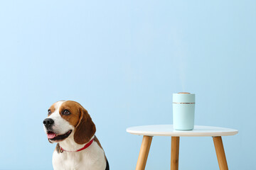 Cute dog and table with modern humidifier on color background
