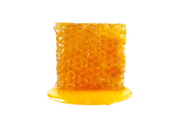 Sweet honey and honeycomb. Healthy organic honey and slice of honeycomb isolated on white background. Sweet healthy dessert. - obrazy, fototapety, plakaty