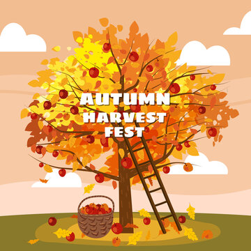 Autumn Harvest Fest. Apple tree with basket of apples, ladder, rural landscape. Fall, harvest, ripe fruits on tree, countriyside fall. Vector illustration cartoon style poster